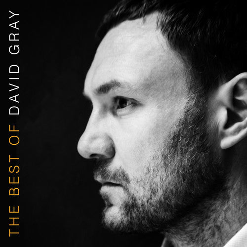 David Gray: The Best Of David Gray [ Vinyl ]