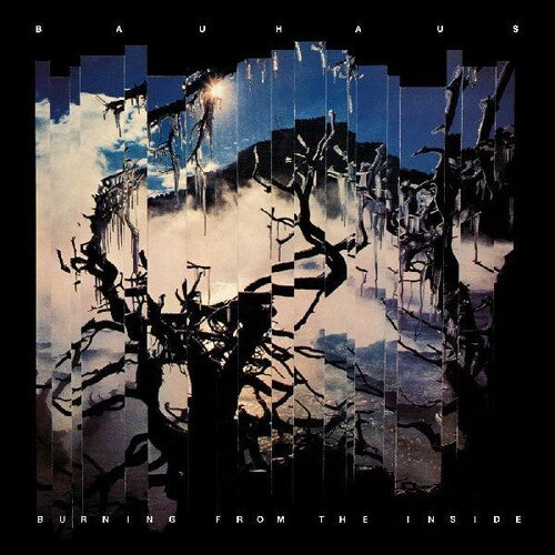 Bauhaus: Burning From The Inside [ Vinyl ]