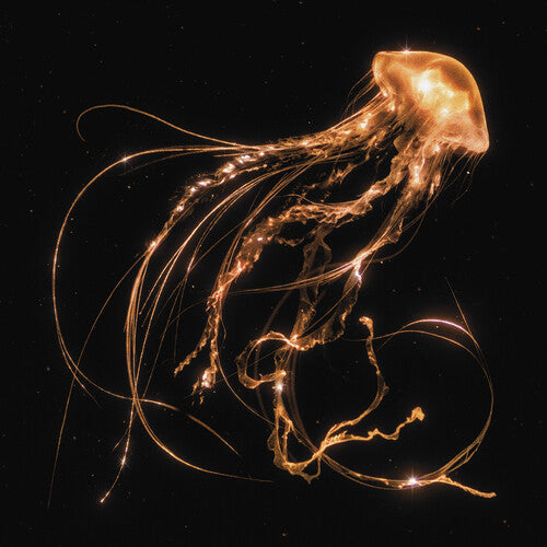 Royal Blood: Back To The Water Below [ Vinyl ]